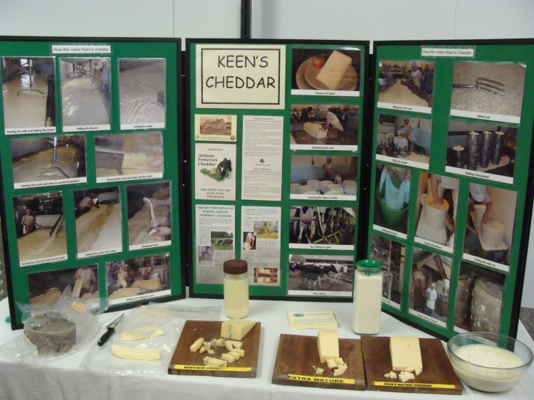 A cheese tasting session. Yummy!