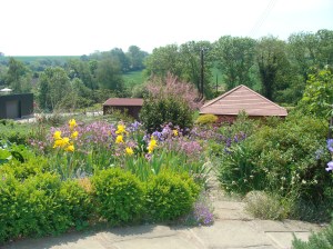 The Keen's beautiful garden