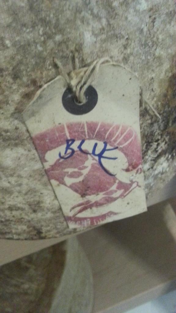 Click the picture to visit the online shop!